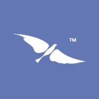 Air Foundation School System